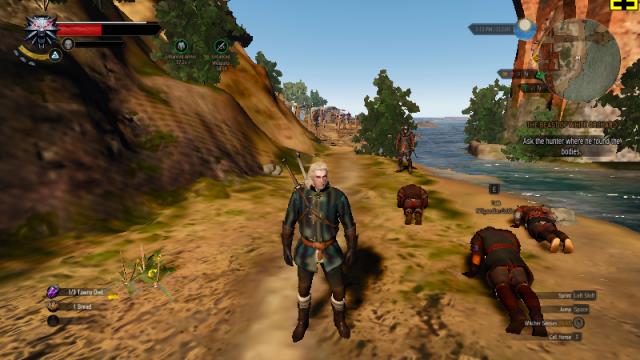 The Witcher 3  Witcher 3 Ultra Low for The Witcher 3