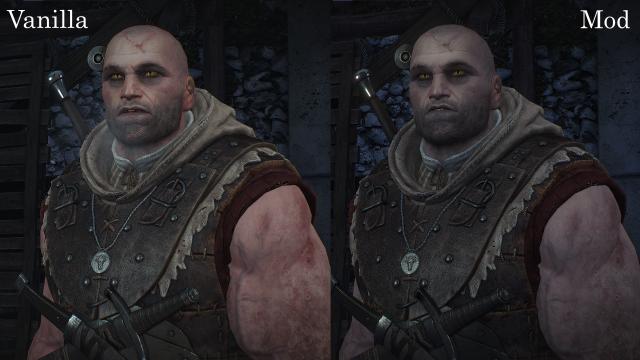 4   4K Lore Friendly Witchers for The Witcher 3
