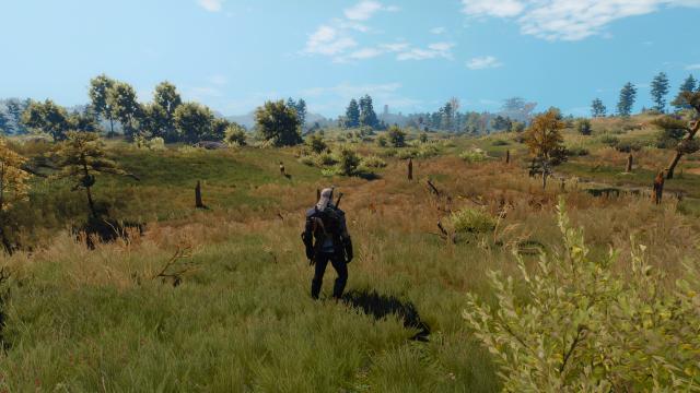 Переробка дерев та кущів / Darker Generic Trees and Bushes для The Witcher 3