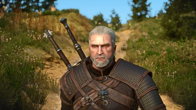 Переробка голови Геральта / Bubsy's Head Edit для The Witcher 3