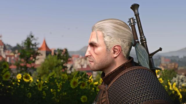 Переробка голови Геральта / Bubsy's Head Edit для The Witcher 3