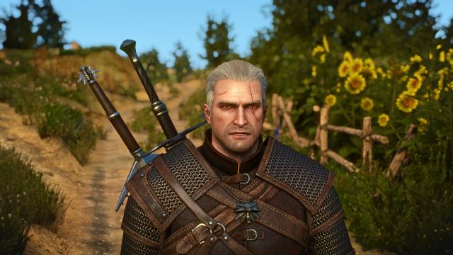 Переробка голови Геральта / Bubsy's Head Edit для The Witcher 3