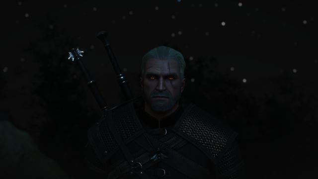 Переробка голови Геральта / Bubsy's Head Edit для The Witcher 3