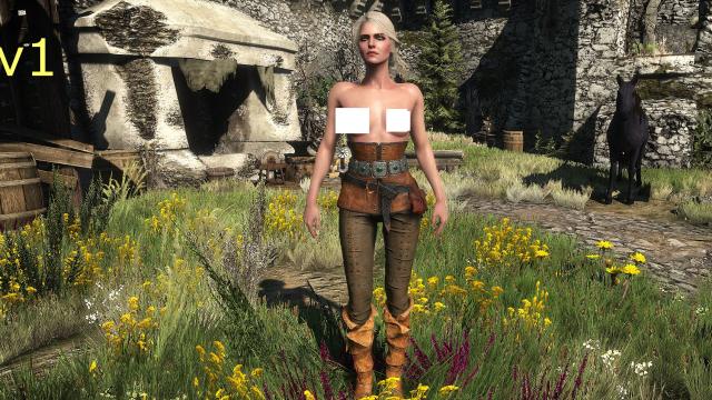 Цирі та Єн топлес / Ciri Topless для The Witcher 3