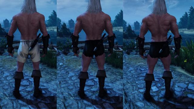 Стероидный Геральт / Geralt on steroids для The Witcher 3