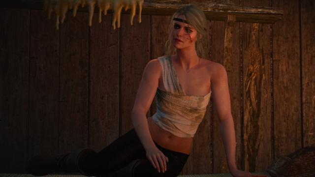 New moon Armor for Ciri for The Witcher 3