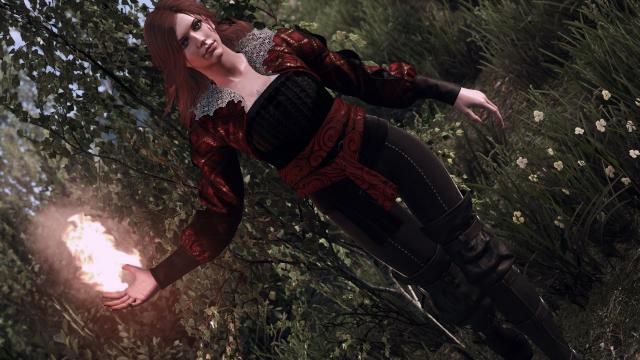 Elegant Triss