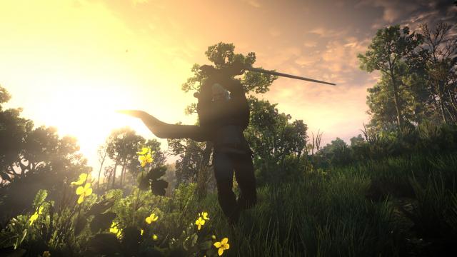 Плащ для Геральта / Geralt Cloak для The Witcher 3