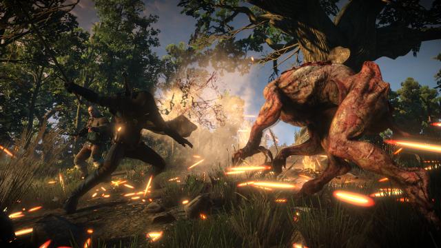 Плащ для Геральта / Geralt Cloak для The Witcher 3