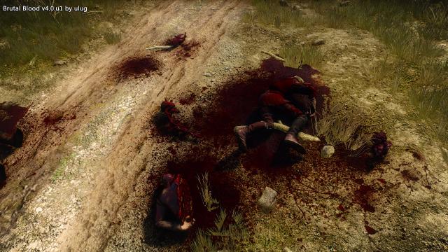 Брутальна кров / Brutal Blood для The Witcher 3