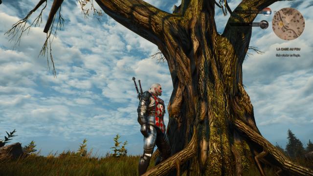 Покращені текстури дубів / Better Oaks для The Witcher 3