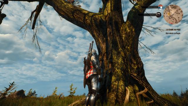 Покращені текстури дубів / Better Oaks для The Witcher 3