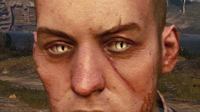 Унікальні очі для всіх відьмаків / Unique Eyes for ALL Witchers (EXCEPT GERALT) для The Witcher 3