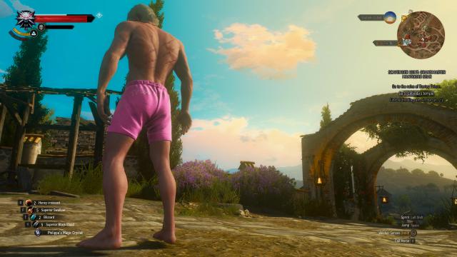 Рожеві труси Геральта / Geralt's Pink Undies для The Witcher 3