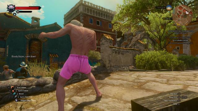 Рожеві труси Геральта / Geralt's Pink Undies для The Witcher 3