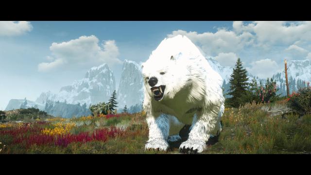 Brother Bear for The Witcher 3