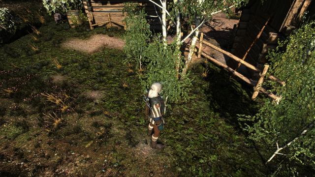 Witcher 3 Texture Overhaul - White Orchard для The Witcher 3