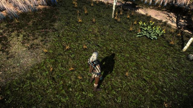 Witcher 3 Texture Overhaul - White Orchard для The Witcher 3