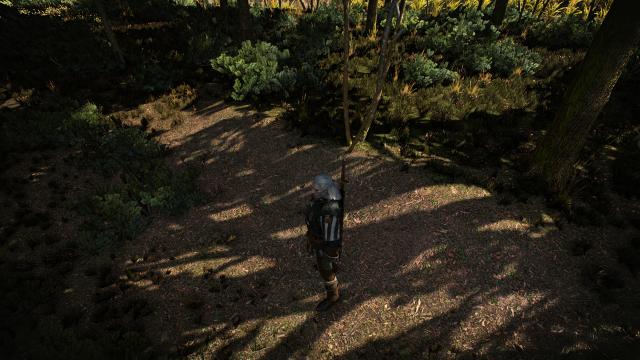 Witcher 3 Texture Overhaul - White Orchard для The Witcher 3