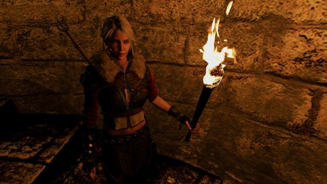 Torch For Ciri for The Witcher 3