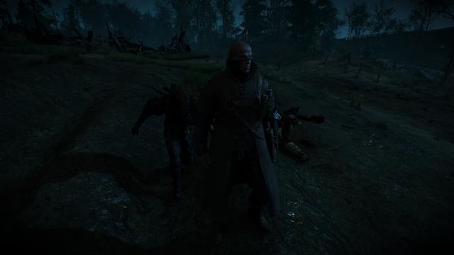 Режим скрытности / Stealth Overhaul для The Witcher 3