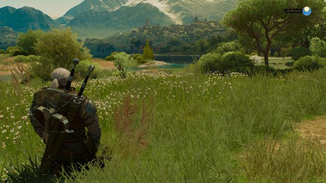 Friendly Meditation для The Witcher 3