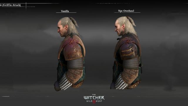 NPC Overhaul (Characters Redone) для The Witcher 3