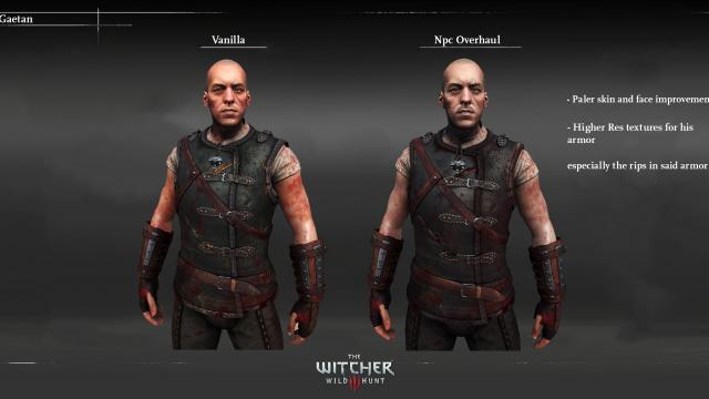 NPC Overhaul (Characters Redone) для The Witcher 3