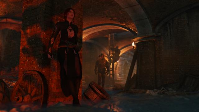 Triss Appearance Overhaul for The Witcher 3