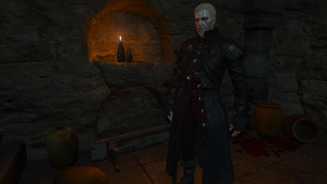 AMM - The Appearances Menu Mod для The Witcher 3