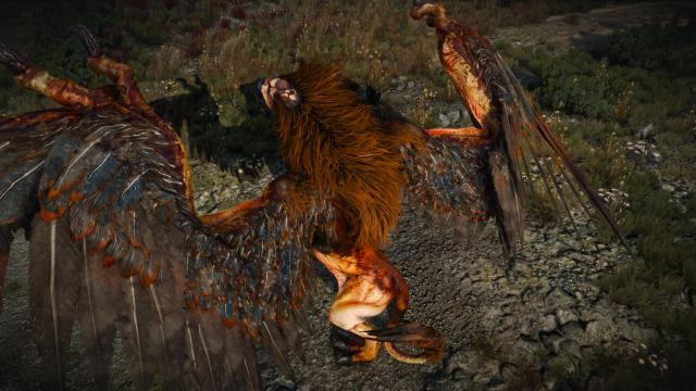 Коричневі грифони / Brown Gryphon Fur для The Witcher 3