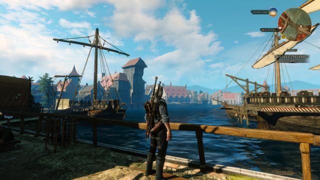 AQUA для The Witcher 3