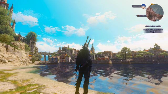 AQUA для The Witcher 3