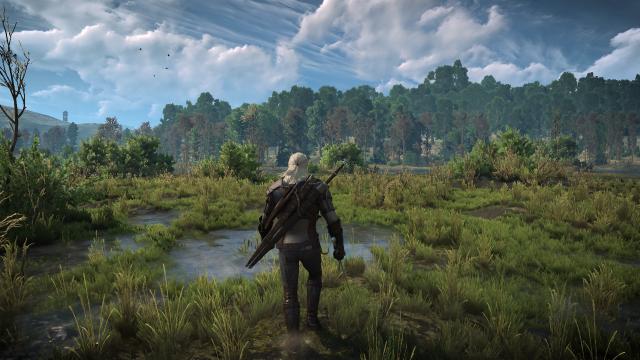 Нові анімації / 2014 Animation System для The Witcher 3