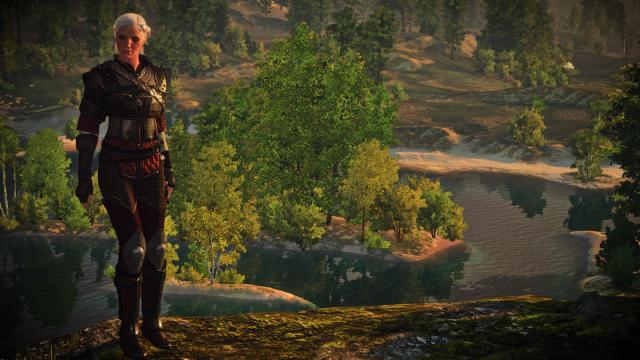 Сет школи вовка для Цирі / Ciri's Witcher Gear - Wolven для The Witcher 3