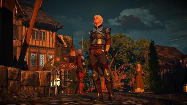 Сет школи вовка для Цирі / Ciri's Witcher Gear - Wolven для The Witcher 3