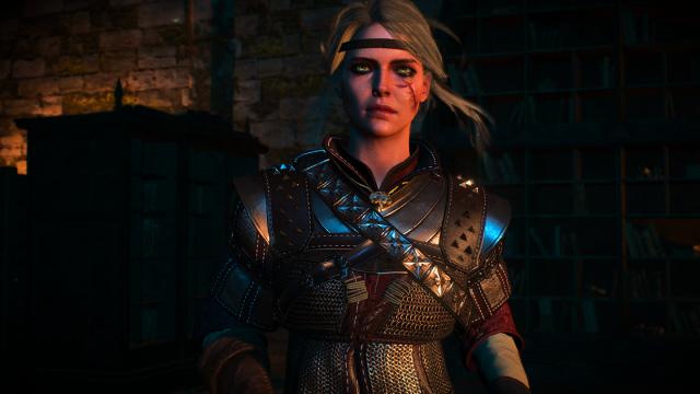 Сет школи вовка для Цирі / Ciri's Witcher Gear - Wolven для The Witcher 3