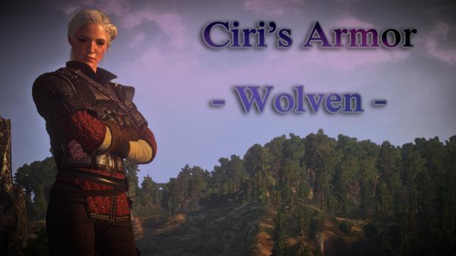 Сет школи вовка для Цирі / Ciri's Witcher Gear - Wolven