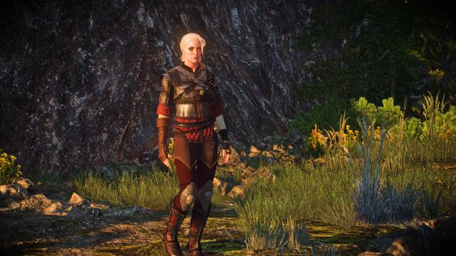 Сет школи вовка для Цирі / Ciri's Witcher Gear - Wolven для The Witcher 3