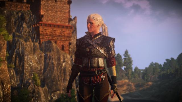 Сет школи вовка для Цирі / Ciri's Witcher Gear - Wolven для The Witcher 3