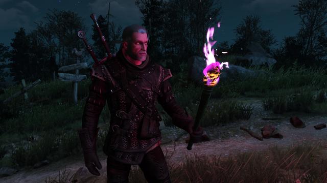 Colourful Torches for The Witcher 3