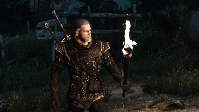 Colourful Torches for The Witcher 3