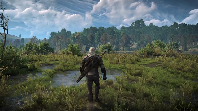 Новые анимации / 2014 Animation System для The Witcher 3