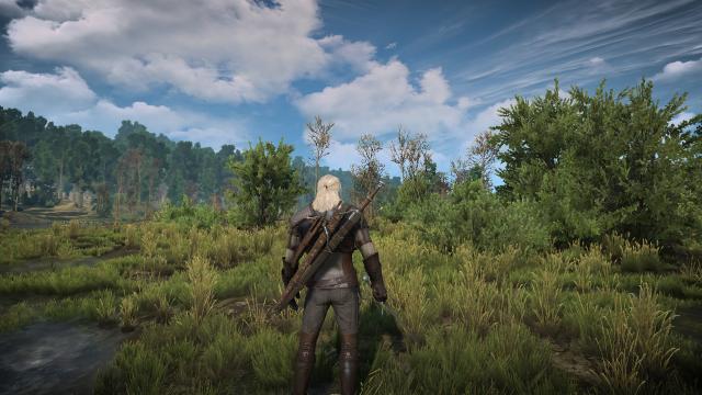 Новые анимации / 2014 Animation System для The Witcher 3