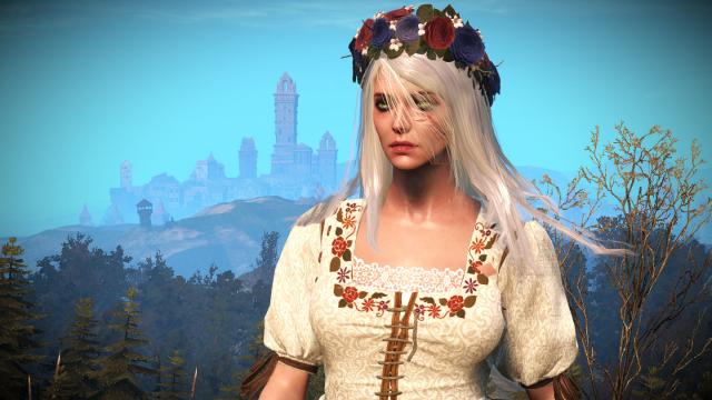 Длинные волосы Цири / Long and loose hairstyle for Ciri для The Witcher 3