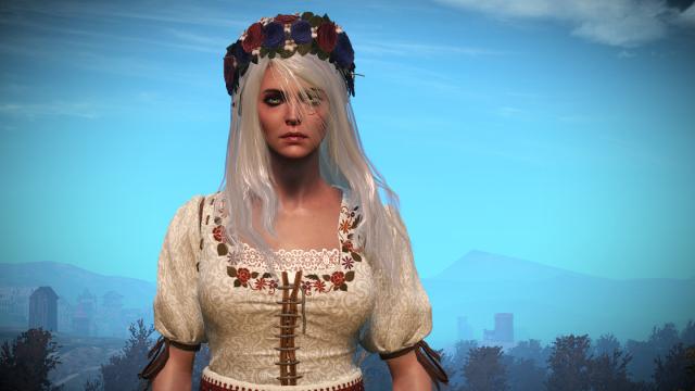 Длинные волосы Цири / Long and loose hairstyle for Ciri для The Witcher 3