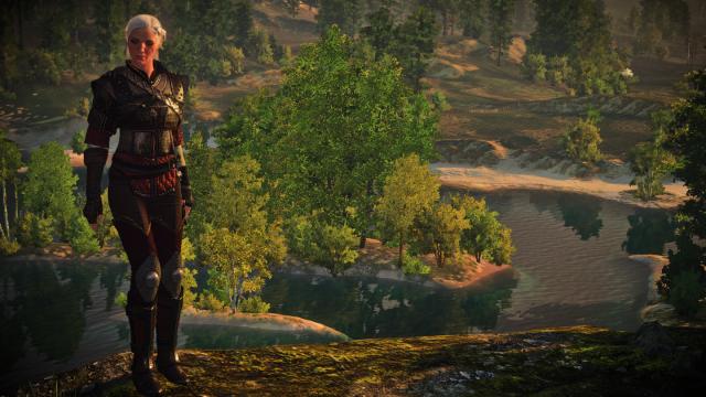 Ciri's Witcher Gear - Wolven for The Witcher 3