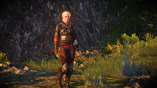 Ciri's Witcher Gear - Wolven for The Witcher 3