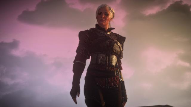 Ciri's Witcher Gear - Wolven for The Witcher 3