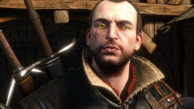 Лорний вид відьмаків / Lore Friendly Witchers